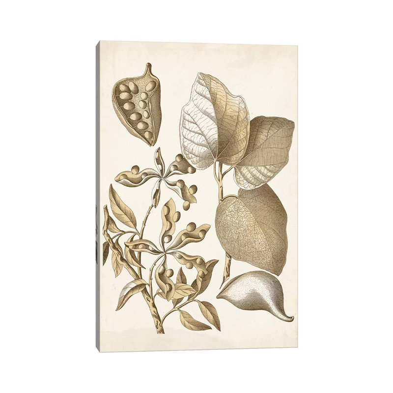 Ochre Botanical III by Vision Studio - Wrapped Canvas Gallery-Wrapped Canvas Giclée, 101.6 cm H x 66.04 cm W x 1.91 cm D