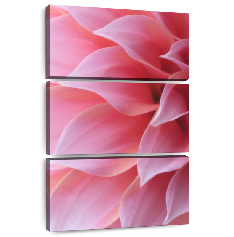 Harnek Pastel Pink Petals, 38" H x 24" W