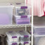 Contenant de rangement avec couvercle transparent Sterilite
