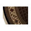 Oriental Area Rug