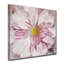 Painted Petals XXVII - Impression sur toile tendue-28141295