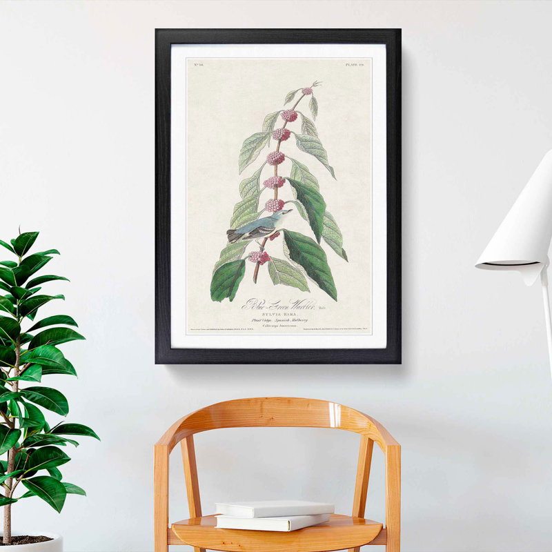 Blue Green Warbler Bird by John Audubon - Framed Print, 48cm H x 36cm W x 2cm D, Black Framed