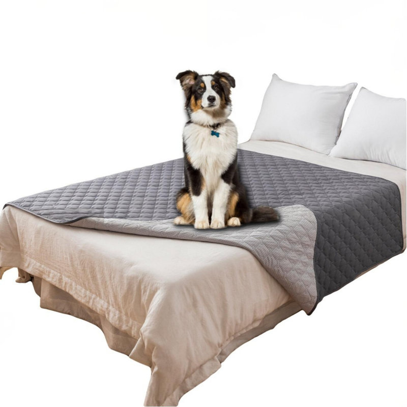 Housses de canapé modulaires pour chiens, Medium (0.39" H x 29.92" W x 70.08" D)