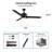 Derryhirk 52'' Ceiling Fan with LED Lights-1193813612