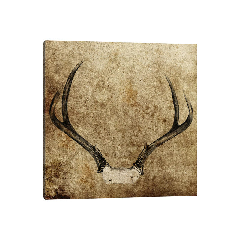 Antler On Textured by Saint And Sailor Studios - Wrapped Canvas Print