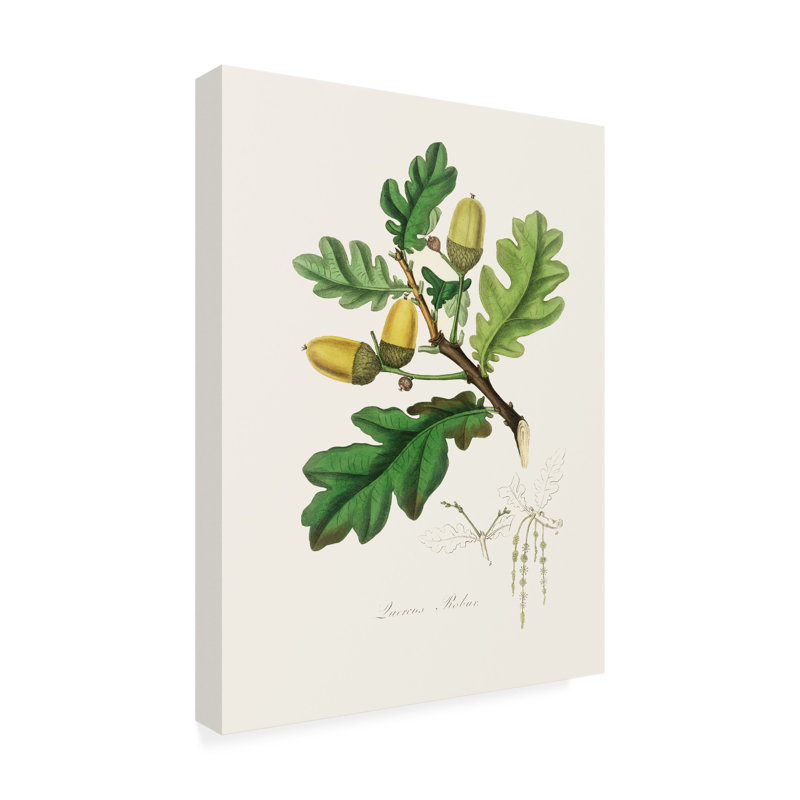 Œuvre sur toile, John Stephenson, H 19 po x l 14 po