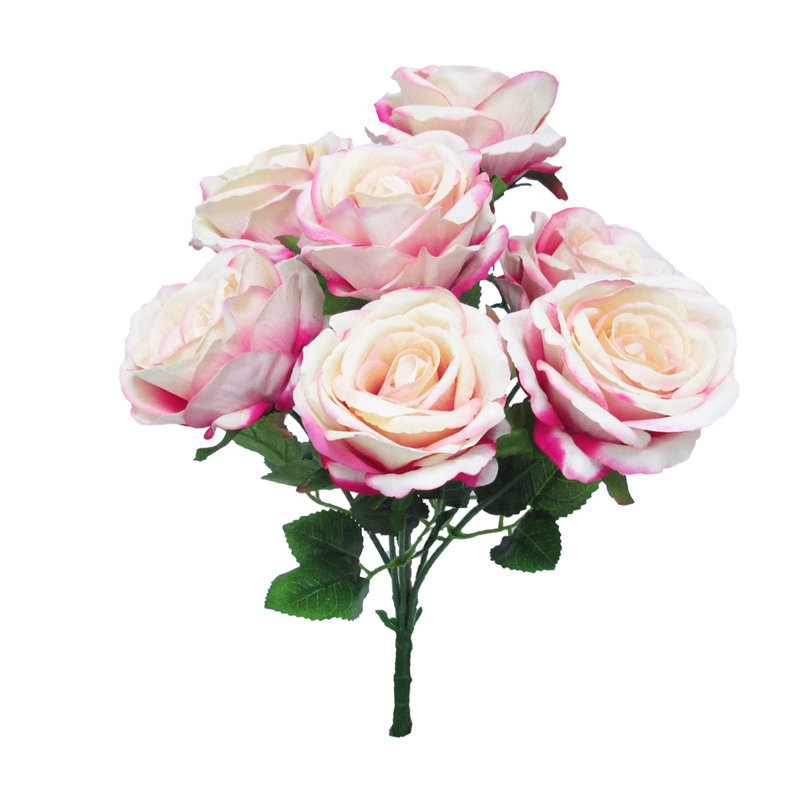 Velours rosier, Rosé