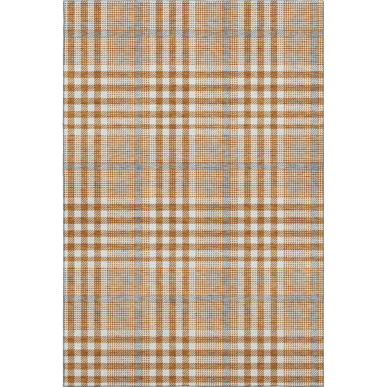 Premium Machine Washable Corry AMF1054 Plaid Rug