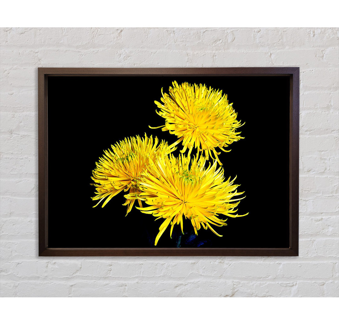 Dandelion Delight - Druck