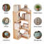 98cm H x 40cm W Bookcase
