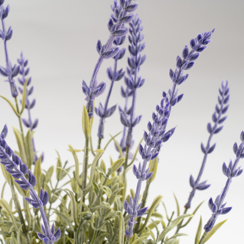 33cm Faux Lavender in Wavy Cement Pot