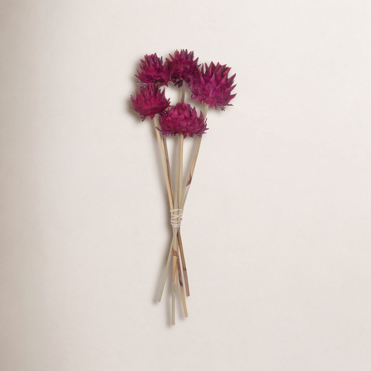Vickerman 15" Artichoke Head with Reed Stem, Dried Artichoke Stems, Raspberry