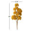 Arrangement jaune