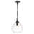 Armijo 1-Light Teardrop Pendant-833391551