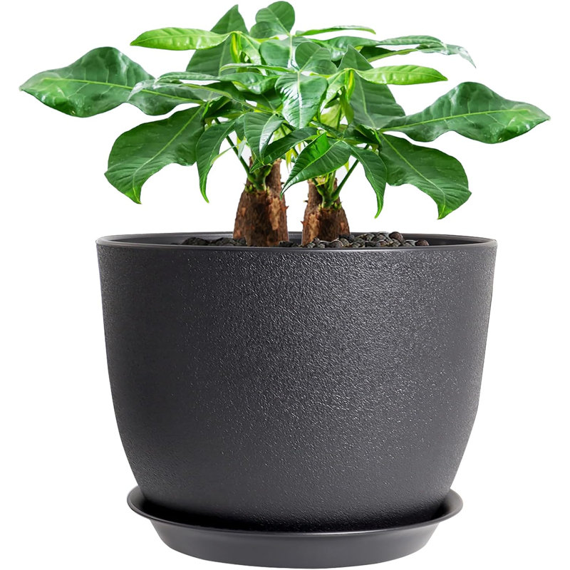 12" Black Plastic Plant Pot With Drainage & Saucer