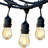 Outdoor 15 - Bulb 48'' Plug-in LED String Light