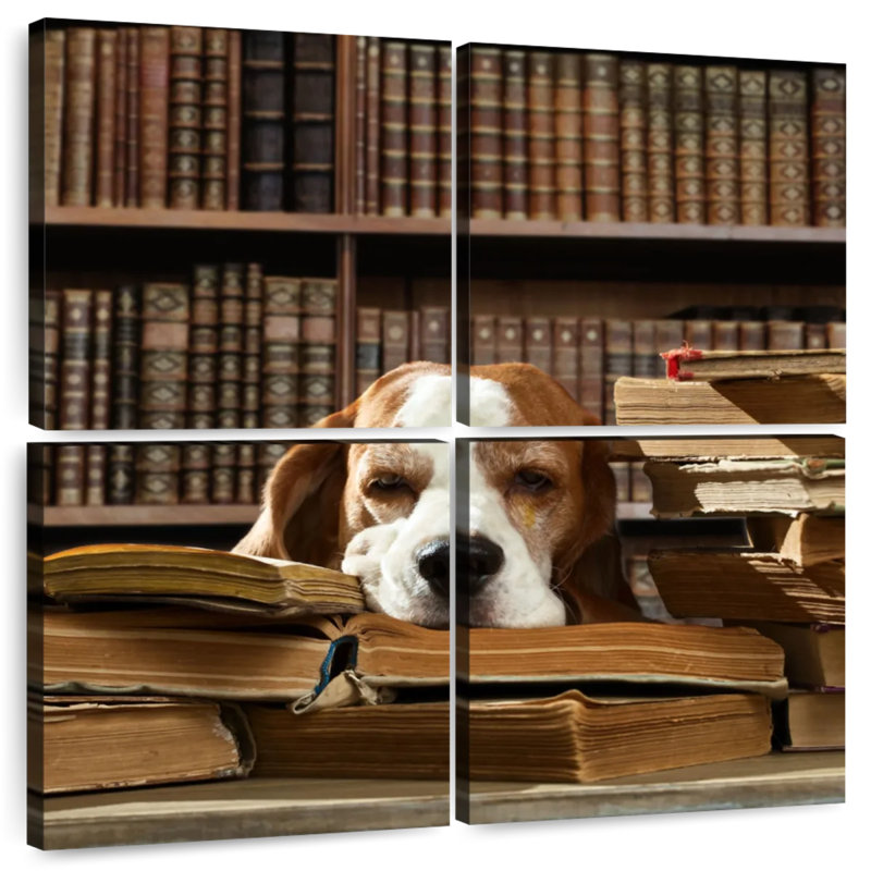 Chien et livres Brampt