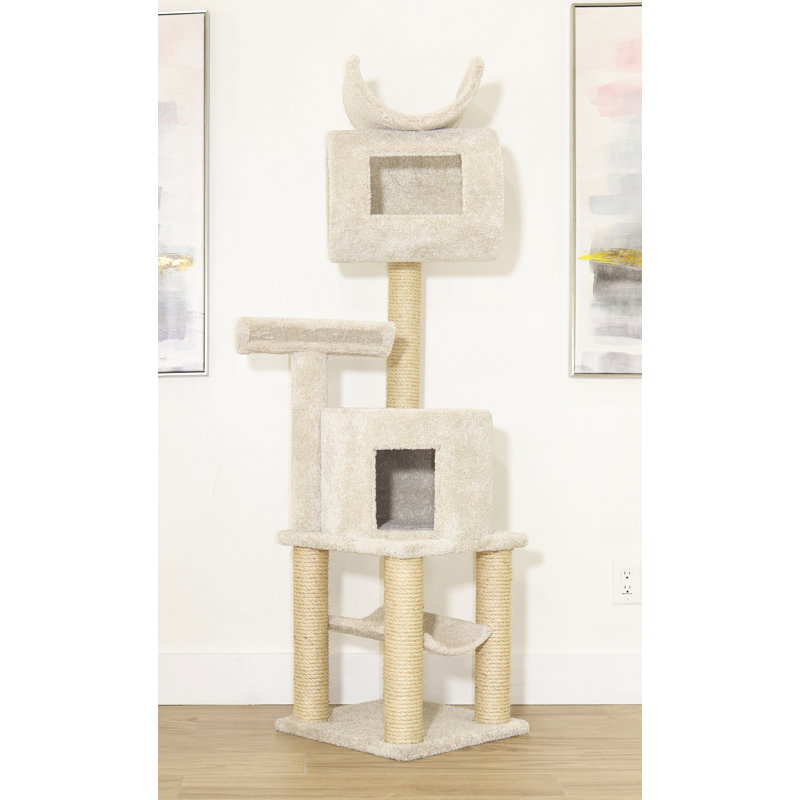 New Cat Condos