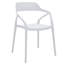 Fauteuil Brawley-1538958753