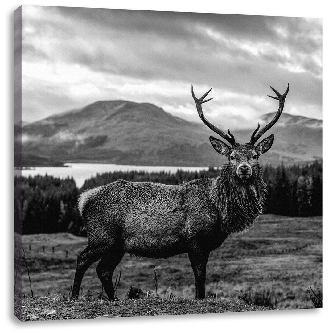 Leinwandbild Stag in Breathtaking Landscape