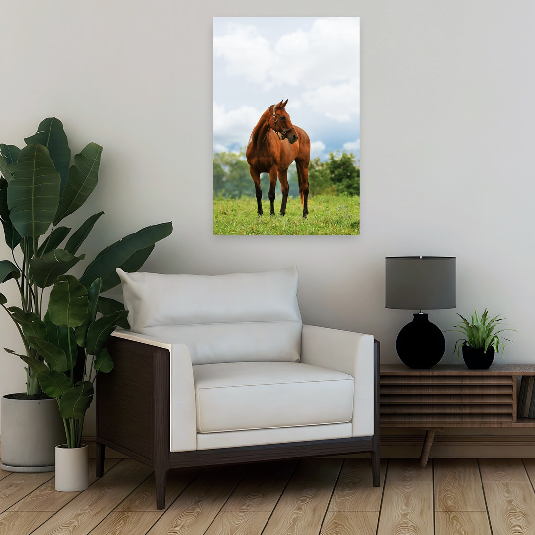 Majestic Chestnut Horse Peaceful Serene Tranquil Horse Nature Landscape Wall Art Print