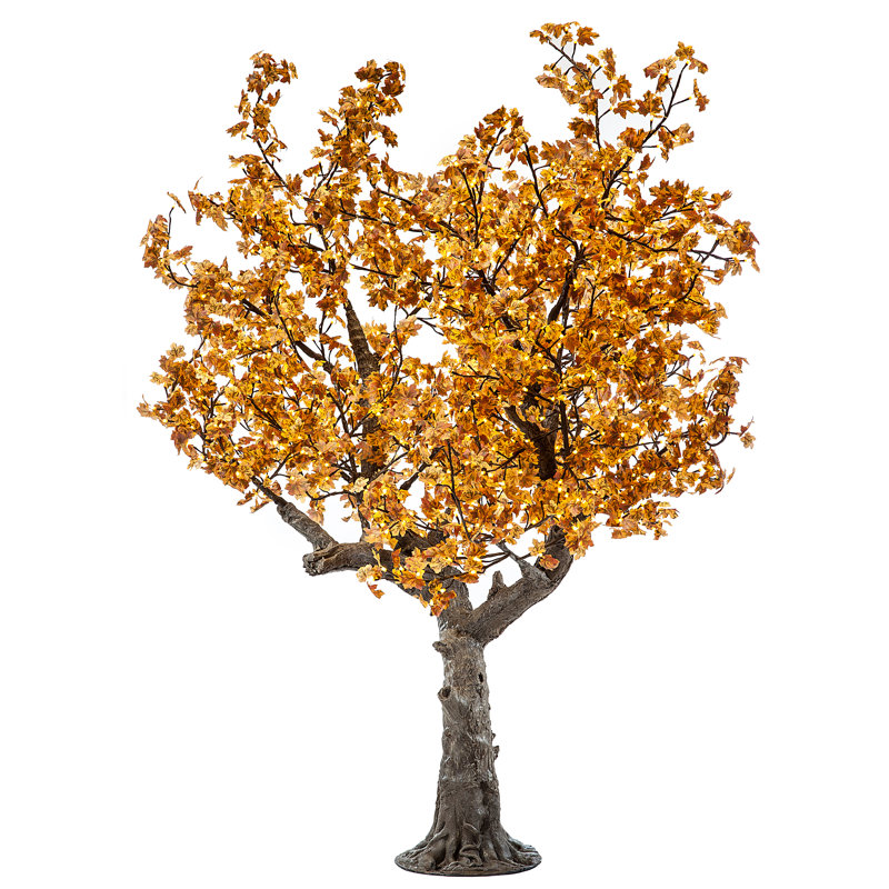Érable, feuilles et branches éclairées, Or