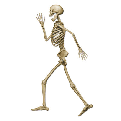 Squelette articulé profil Halloween Pete