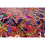 Oriental Area Rug-1684503912