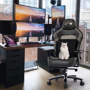 Wanbao Adjustable Reclining Ergonomic Swiveling PC & Racing Game Chair in Black/Gray