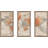 " World Map " 3 Piece Art Graphic Art Print-1750567002