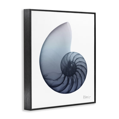 Highland Dunes, Nautilus contemporain, art de la giclée encadrée par Albert Koetsier