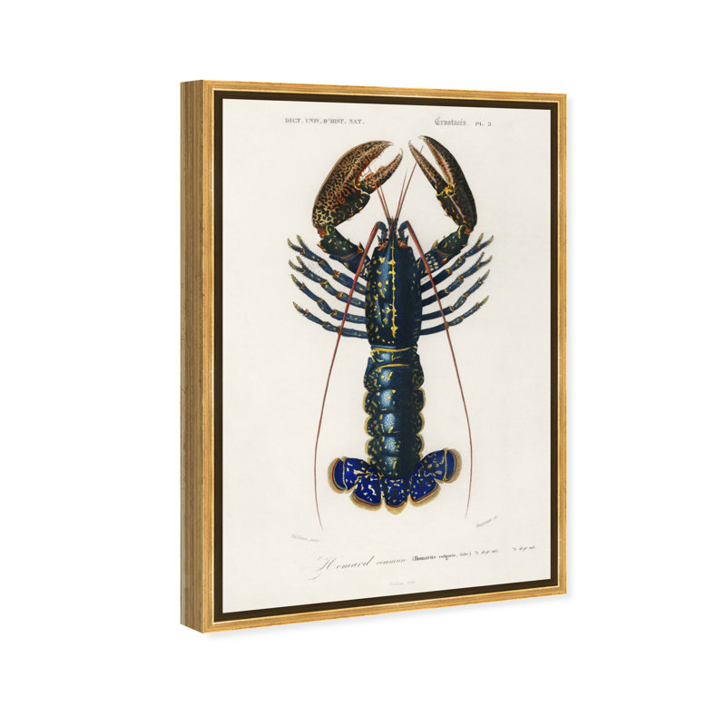 Animaux Crimson Crawfish par Charles Dessalines - Peinture sur toile, H 20 po x l 30 po, Cadre doré