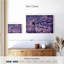 Harnek reflets mauves-107678484