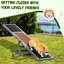 Équipement d'agilité pour chien - 71 po x 12 po, énergie d'exercice grise, météo,