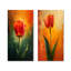 Ensemble de 2 tulipes rouges et vertes éclatantes-1074739752-1074739753-1074739765