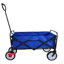 Chariot de plage pliable-111642968