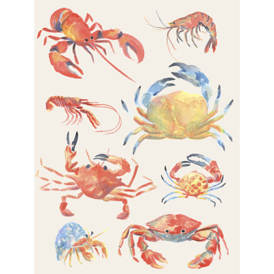 Crustacean Collection II by June Erica Vess - Wrapped Canvas Print