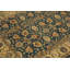 Wool Oriental Indoor Rug