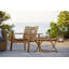 Amaze Teak Patio Chair with Cushions