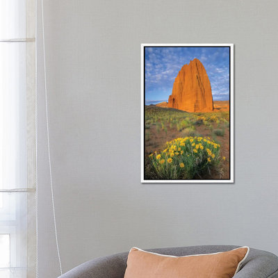 Common Sunflower Cluster And Temple Of The Sun, Capitol Reef National Park, Utah I 1 Piece Wall Art on Canvas