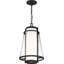 Lanterne suspendue d'extérieur 1 lumière noire matte Ryan