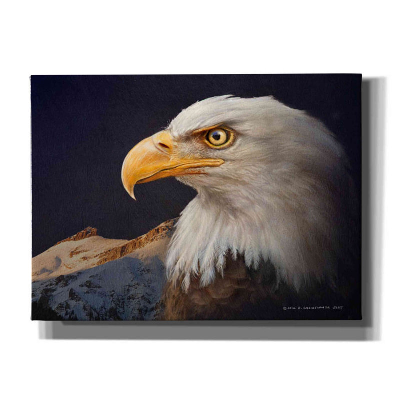 " Bald Eagle Study " by Chris Vest