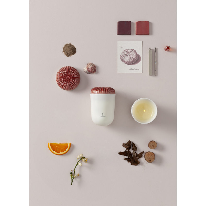 Bougie en pot Echoes of Nature
