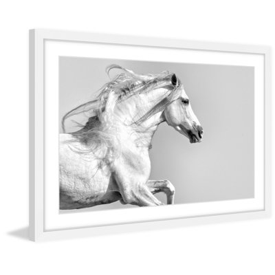 Melanie Snowhite - Single Picture Frame Print