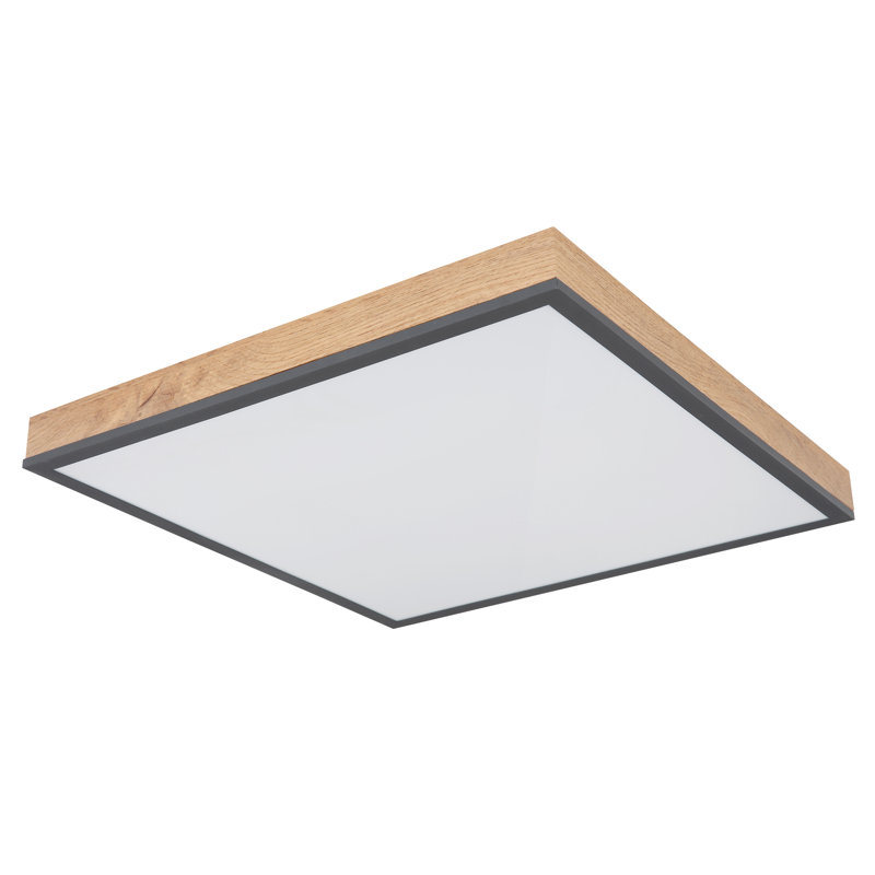 Tejal LED Flush Mount