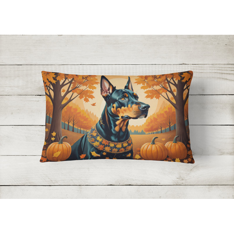 Other/No Pattern Outdoor Throw Pillow