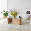 Glorias Coffee Table-106668434-106668437