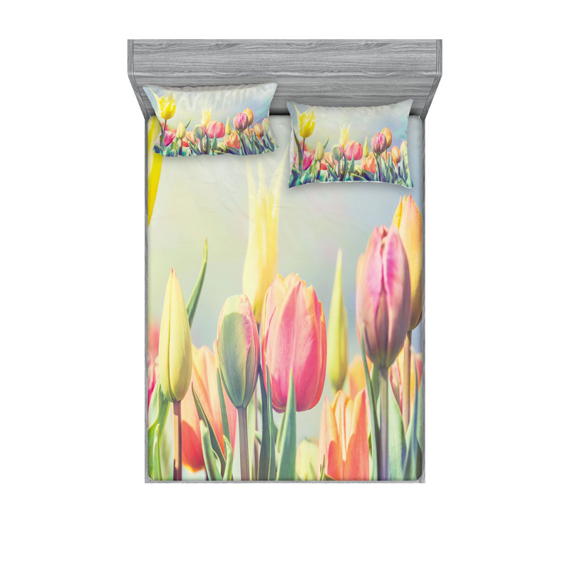 Multicolore drap-housse et coussin décoratif Ambesonne, Ensemble de draps pour très grand lit californien