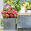 Chelsea Planter Box-97119369-97119371