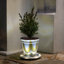 Base de jardin solaire d'extérieur avec accents lumineux